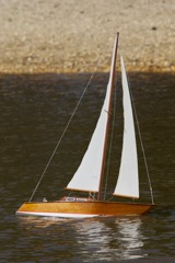 DSC07423 © Peter Taylor 2011