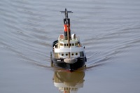 A100.08041407 © Peter Taylor 2008
