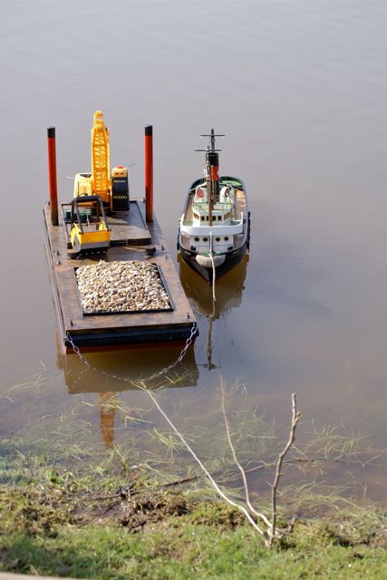 A100.08041409 © Peter Taylor 2008