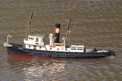 DSC04688 © Peter Taylor 2011