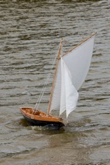 DSC03608 © Peter Taylor 2013