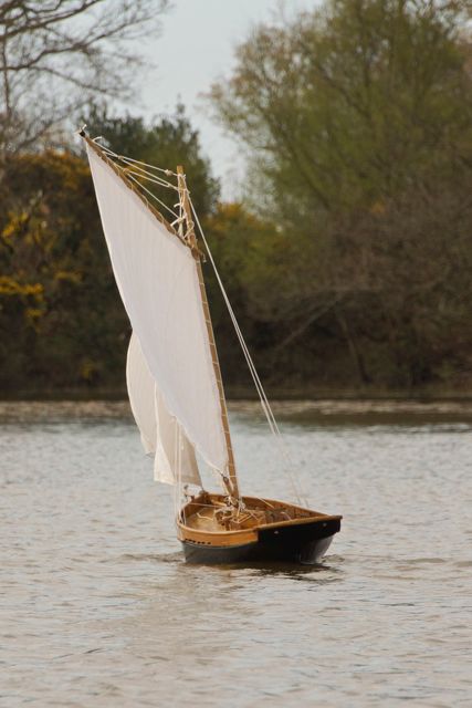 DSC03216 © Peter Taylor 2013