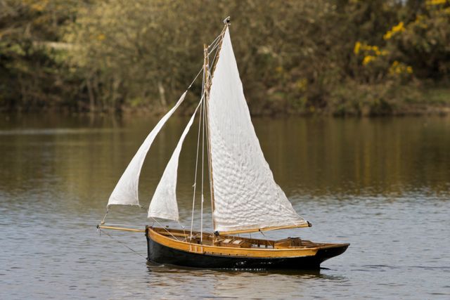 DSC01401 © Peter Taylor 2013