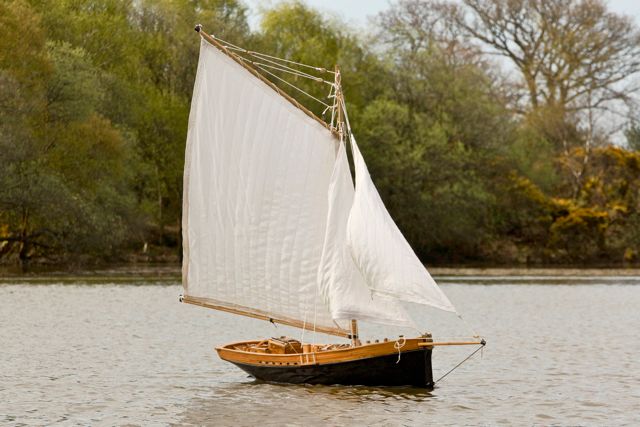 DSC03210 © Peter Taylor 2013
