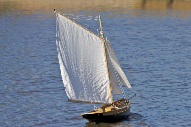 DSC09604 © Peter Taylor 2012