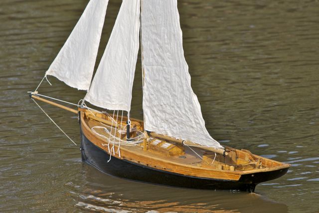 DSC09469 © Peter Taylor 2012