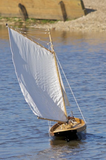 DSC09605 © Peter Taylor 2012