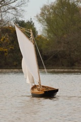 DSC03216 © Peter Taylor 2013
