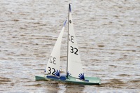 DSC03554 © Peter Taylor 2012