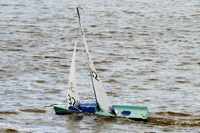 DSC03555 © Peter Taylor 2012