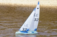 DSC03426 © Peter Taylor 2012