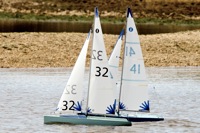 DSC03537 © Peter Taylor 2012