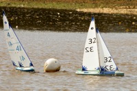 DSC03540 © Peter Taylor 2012