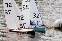 DSC03494 © Peter Taylor 2012
