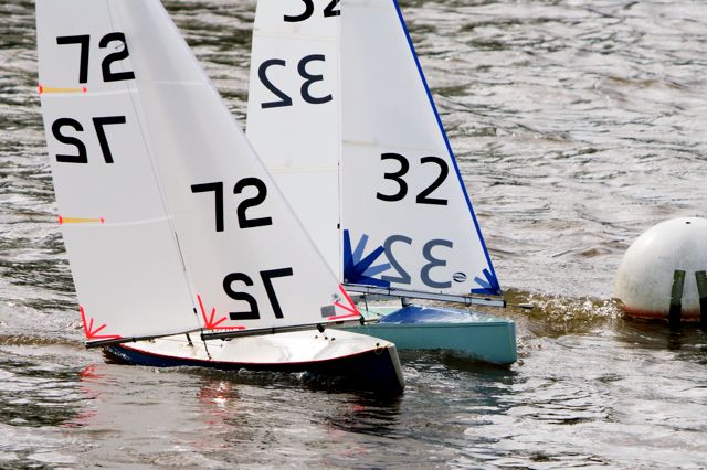 DSC03494 © Peter Taylor 2012