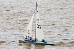 DSC03554 © Peter Taylor 2012