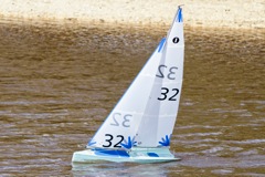 DSC03426 © Peter Taylor 2012