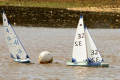 DSC03540 © Peter Taylor 2012