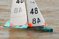DSC03489 © Peter Taylor 2012