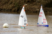 DSC03659 © Peter Taylor 2012