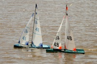 DSC03753 © Peter Taylor 2012