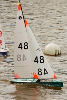 DSC03668 © Peter Taylor 2012
