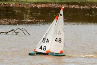 DSC03542 © Peter Taylor 2012