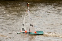 DSC03666 © Peter Taylor 2012