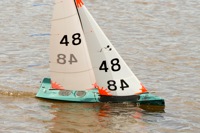 DSC03525 © Peter Taylor 2012