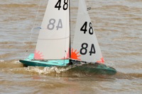 DSC03488 © Peter Taylor 2012