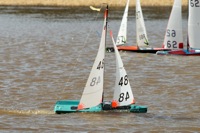 DSC03682 © Peter Taylor 2012