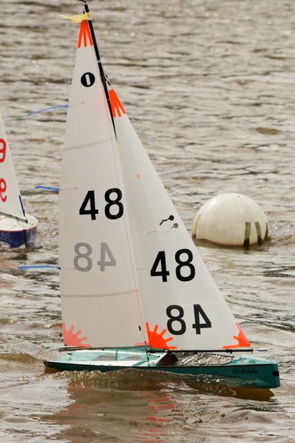 DSC03668 © Peter Taylor 2012