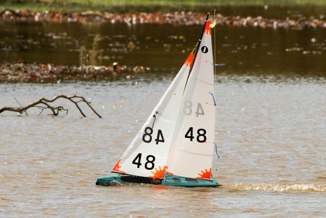 DSC03542 © Peter Taylor 2012