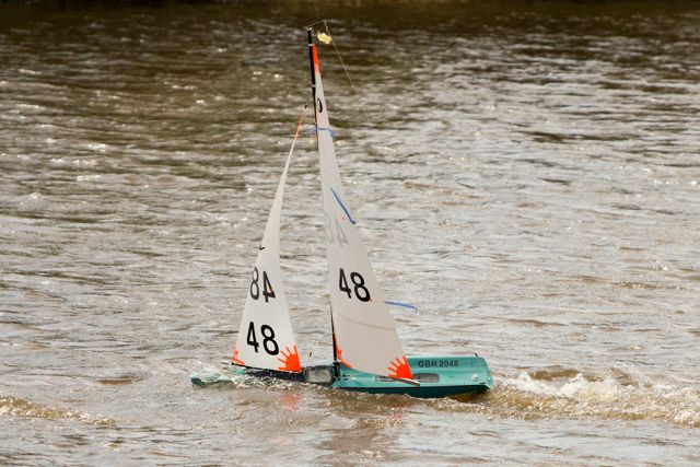 DSC03666 © Peter Taylor 2012