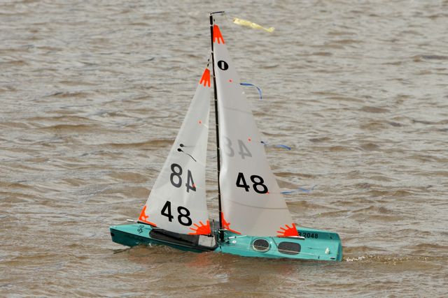 DSC03835 © Peter Taylor 2012