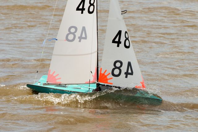 DSC03488 © Peter Taylor 2012