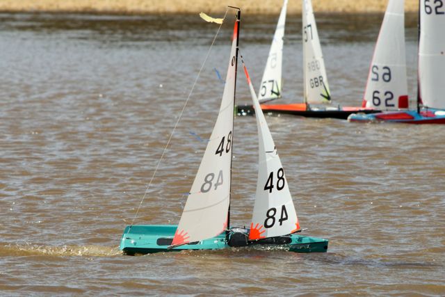 DSC03682 © Peter Taylor 2012