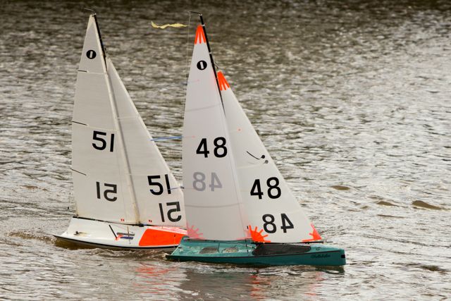DSC03610 © Peter Taylor 2012