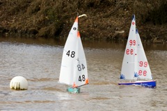 DSC03659 © Peter Taylor 2012