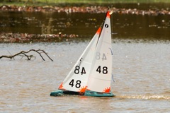 DSC03542 © Peter Taylor 2012