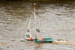 DSC03666 © Peter Taylor 2012