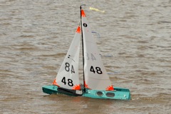 DSC03835 © Peter Taylor 2012