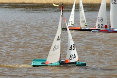 DSC03682 © Peter Taylor 2012
