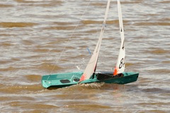 DSC03708 © Peter Taylor 2012