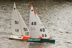 DSC03610 © Peter Taylor 2012