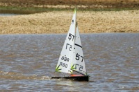 DSC03642 © Peter Taylor 2012