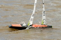 DSC03831 © Peter Taylor 2012