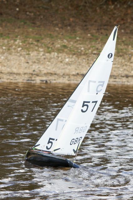 DSC03411 © Peter Taylor 2012