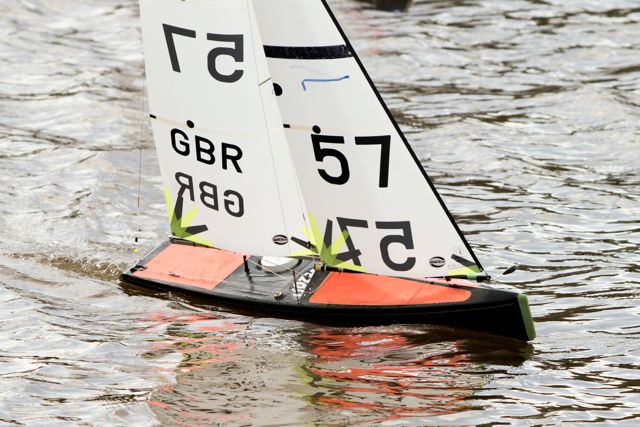 DSC03417 © Peter Taylor 2012