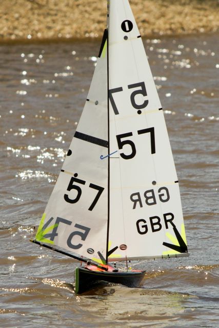 DSC03864 © Peter Taylor 2012